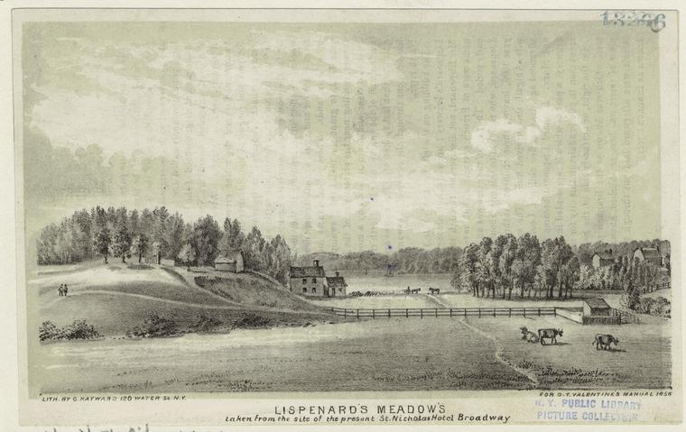 Lispenard's Meadows